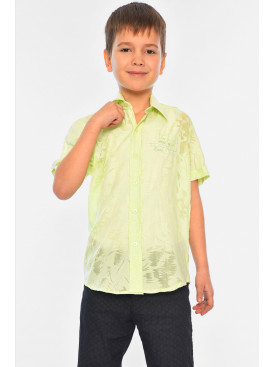 Сорочка дитяча хлопчик салатова 148499C