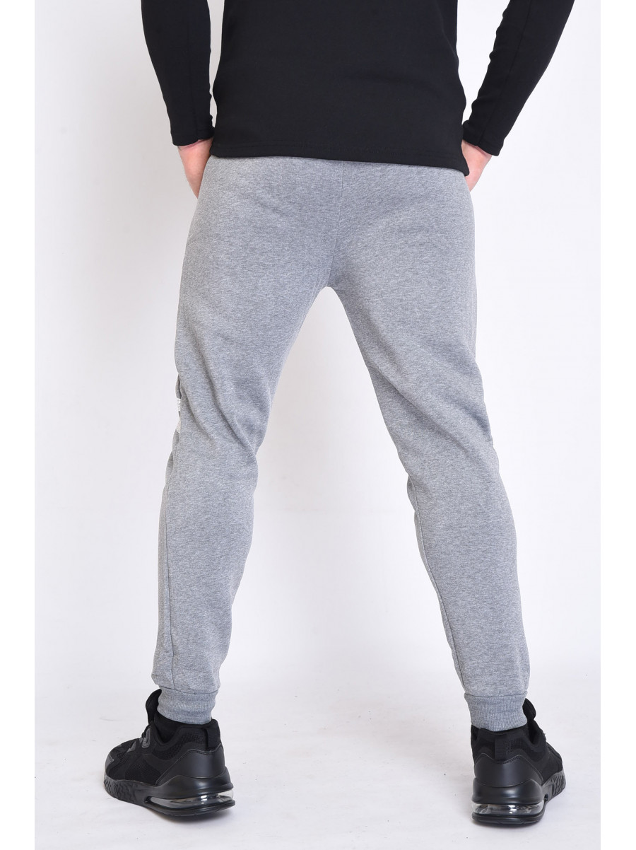 Cпортивные штаны мужские на флисе серого цвета 153340C