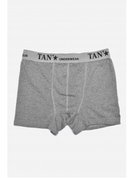 Боксеры мужские серого цвета размер L 156400C