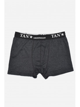 Боксери чоловічі темно-сірого кольору 156403C Боксери чоловічі темно-сірого кольору 156403C