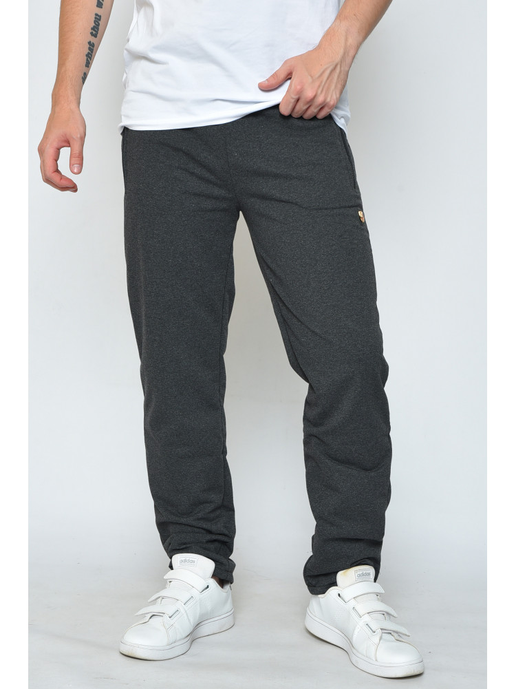 Спортивные штаны мужские серого цвета 01 158663C
