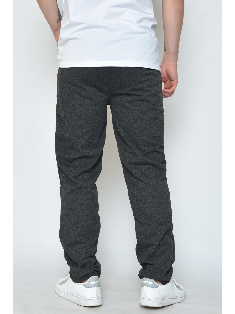 Спортивные штаны мужские серого цвета 01 158663C