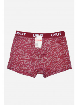 Боксери чоловічі бордового кольору 10381 164064C