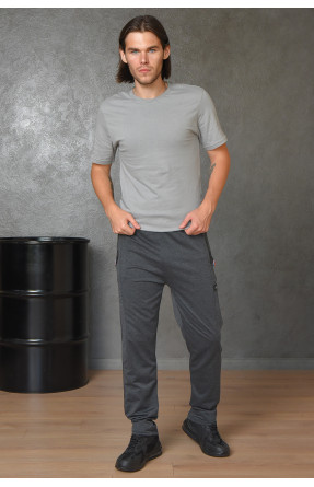 Спортивные штаны мужские серого цвета 114 164985C