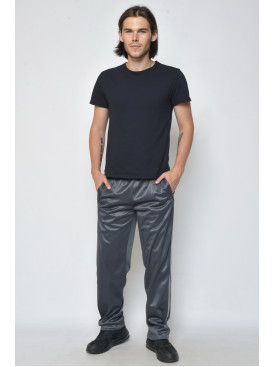 Спортивные штаны мужские серого цвета 0084 165735C