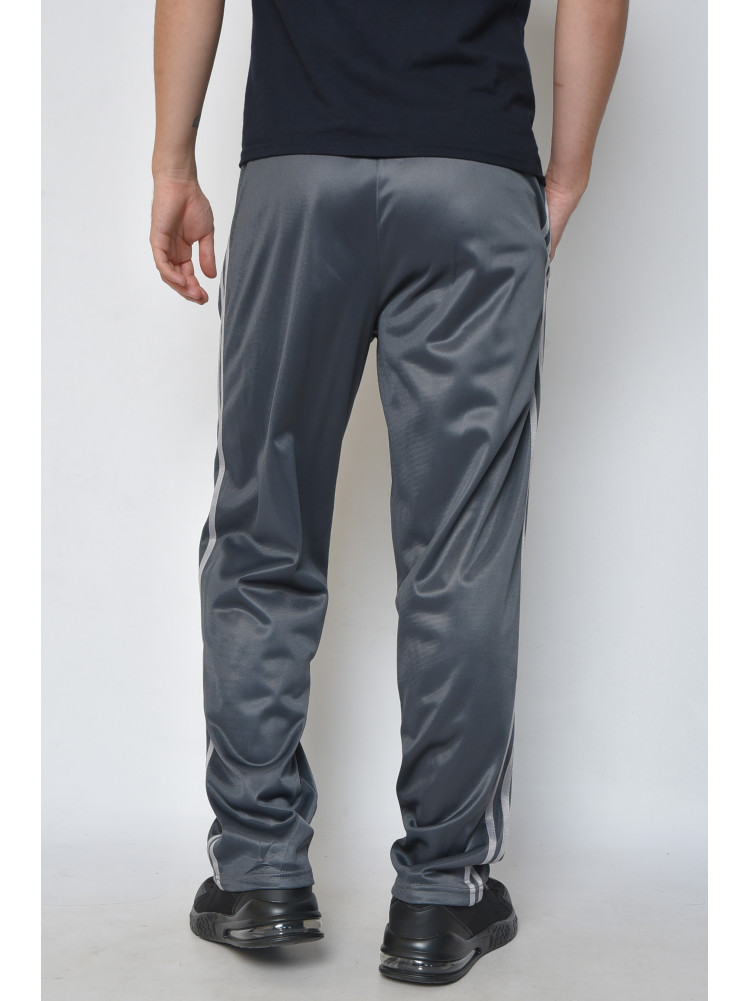 Спортивні штани чоловічі сірого кольору 0084 165735C