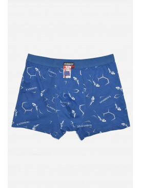 Боксери чоловічі блакитного кольору 6812 166212C