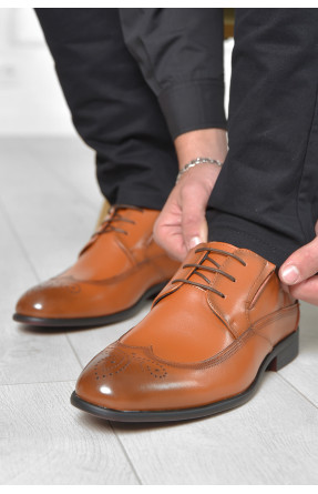 Туфли мужские коричневого цвета FB016-3 166216C