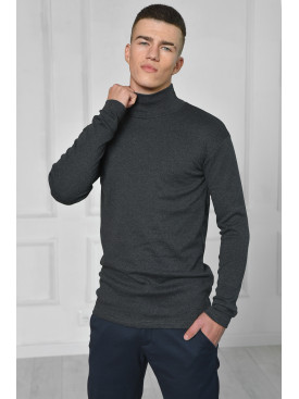 Гольф мужской на флисе темно-серого цвета 166675C