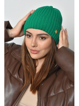 Шапка женская на флисе с отворотом зеленого цвета 168238C Шапка женская на флисе с отворотом зеленого цвета 168238C