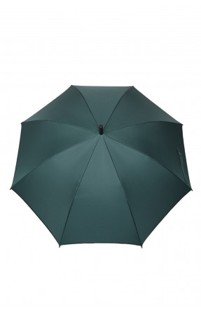Зонт трость зеленого цвета N302 168348C