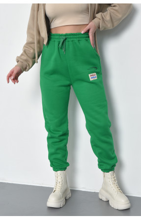 Спортивные штаны женские на флисе зеленого цвета 21333 168423C