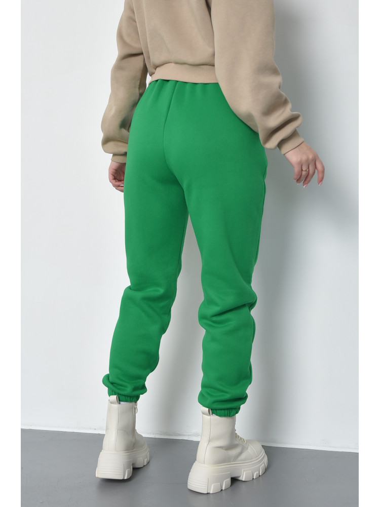 Спортивні штани жіночі на флісі зеленого кольору 21333 168423C