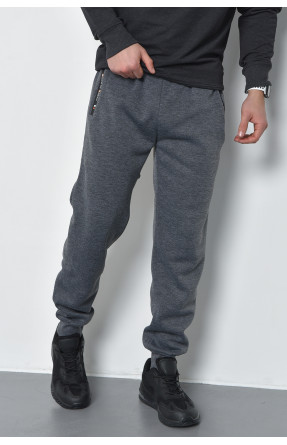 Спортивные штаны мужские на флисе серого цвета RK751 168438C