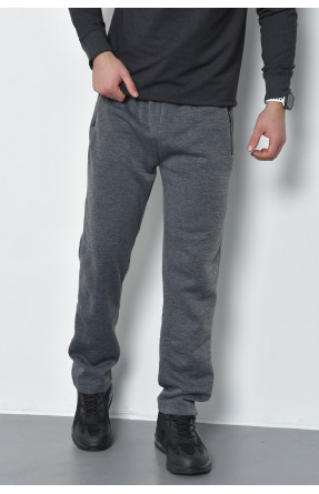 Спортивные штаны мужские на флисе серого цвета RK752 168441C
