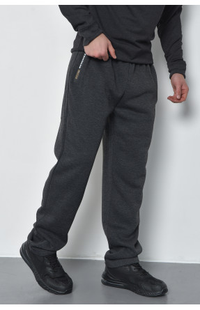 Спортивные штаны мужские на флисе темно-серого цвета RK754 168448C