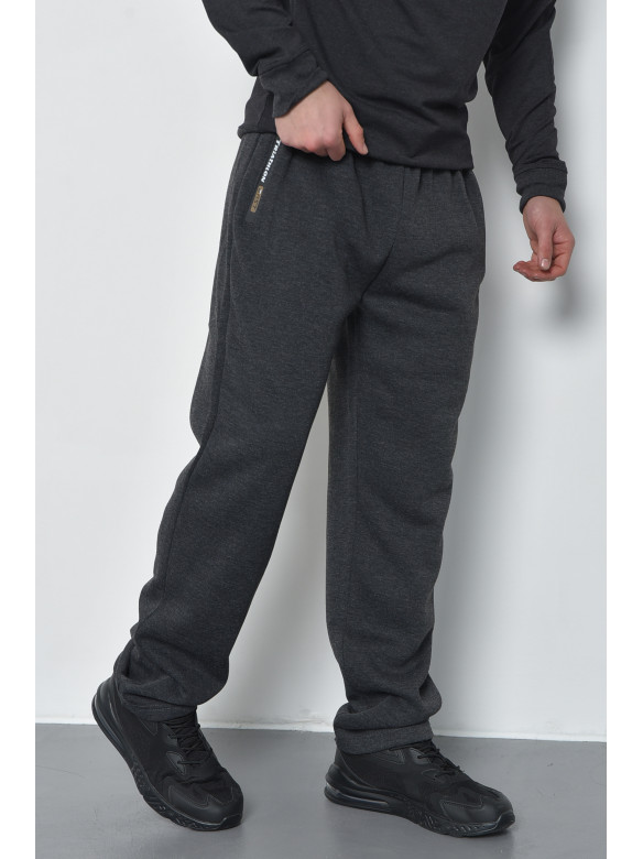 Спортивні штани чоловічі на флісі темно-сірого кольору RK754 168448C