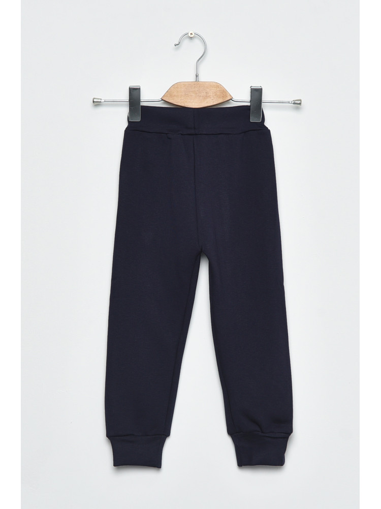 Спортивные штаны детские для мальчика на флисе темно -синего цвета А 624-2 168536C