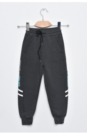 Спортивні штани дитячі для хлопчика на флісі темно-сірого кольору А633-3 169253C