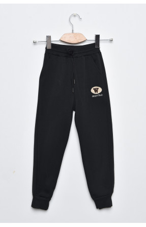 Спортивні штани дитячі для хлопчика на флісі чорного кольору А635-4 169269C