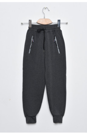 Спортивные штаны детские для мальчика на флисе темно-серого цвета А635-2 169275C