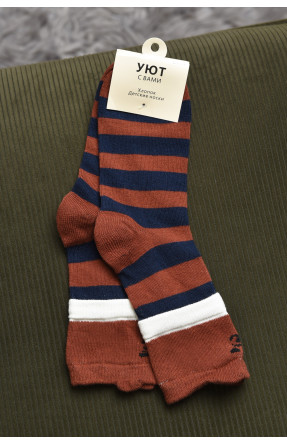 Шкарпетки дитячі для хлопчика коричневого кольору в смужку D011-4 169687C