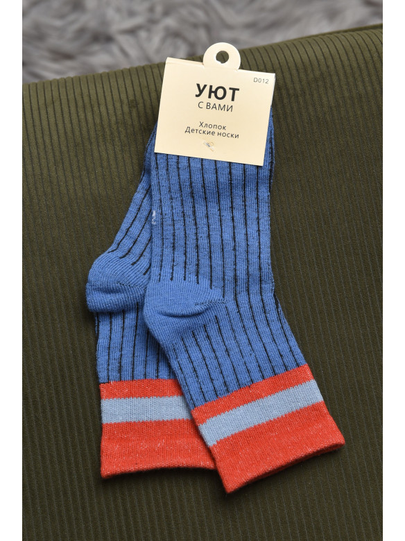 Шкарпетки дитячі синього кольору 012-4 170500C