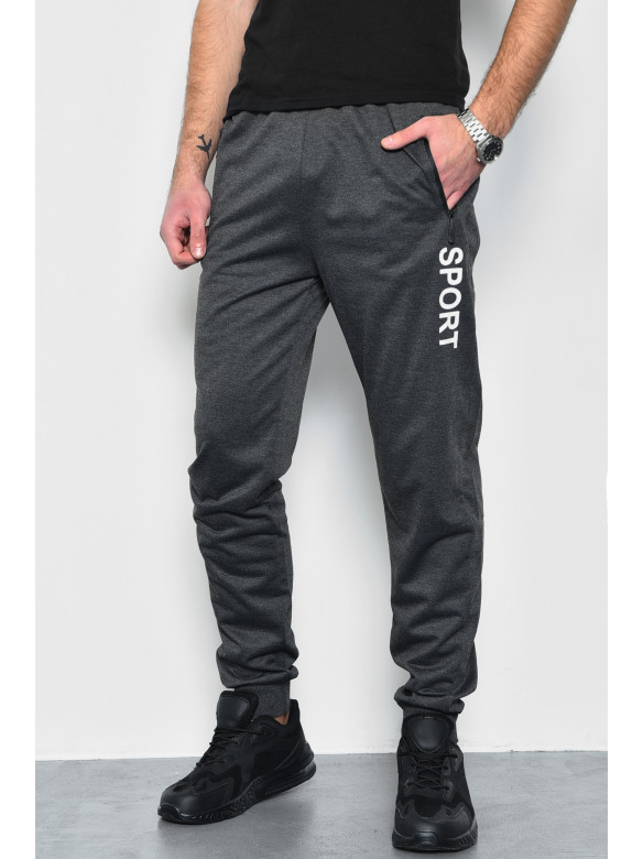 Спортивные штаны мужские темно-серого цвета 2076-6 172574C