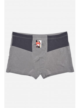 Боксери чоловічі сірого кольору 768 172628C