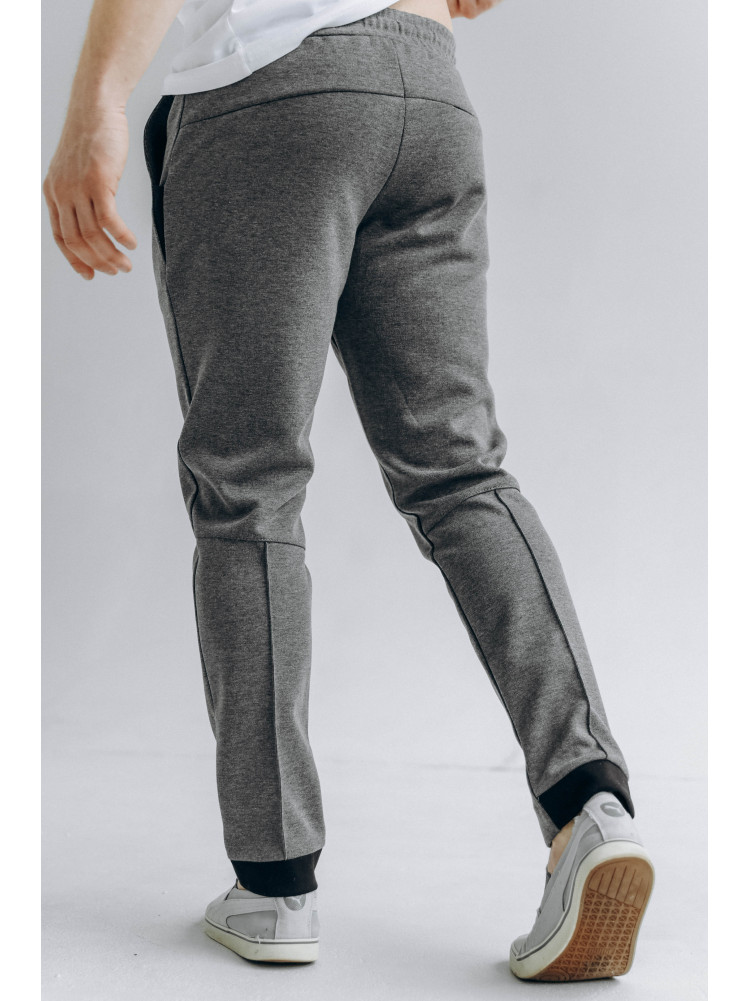 Спортивные штаны мужские серого цвета 722-08 172683C