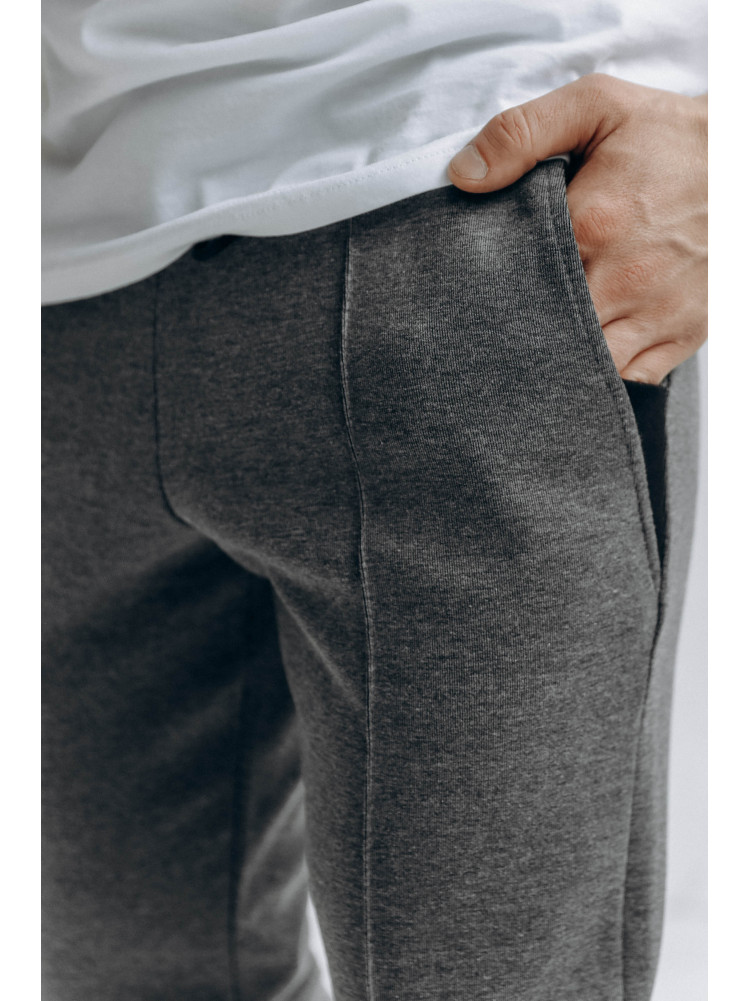 Спортивные штаны мужские серого цвета 722-08 172683C