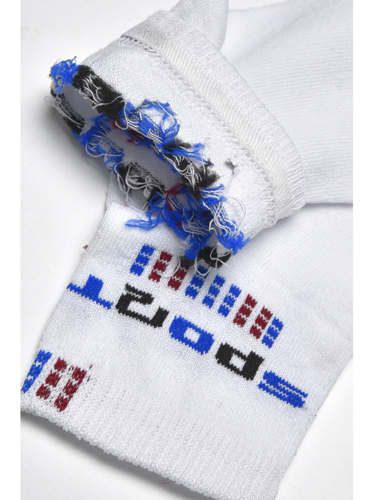 Шкарпетки чоловічі спортивні білого кольору розмір 41-45 535 172744C