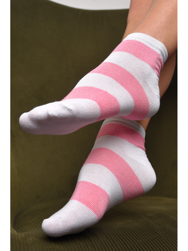 Шкарпетки жіночі демісезонні біло-рожевого кольору розмір 36-40 185 172844C
