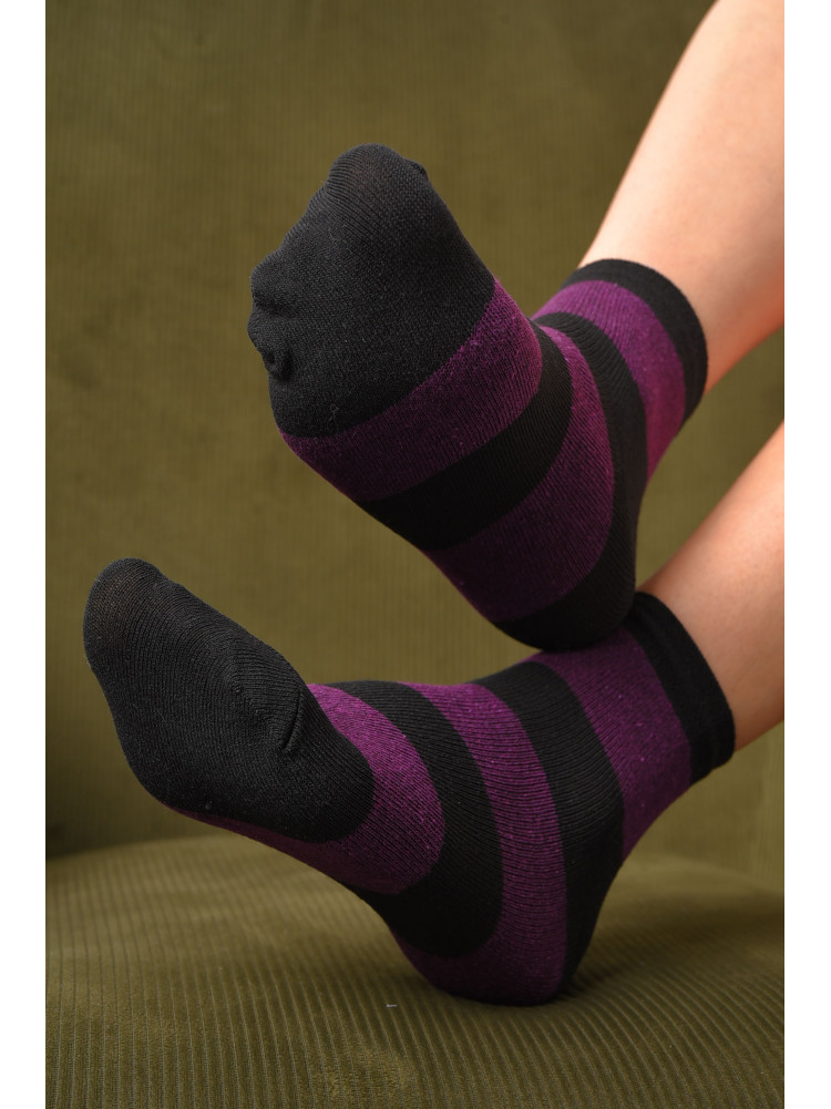 Шкарпетки жіночі демісезонні чорно-фіолетового кольору розмір 36-40 185 172849C