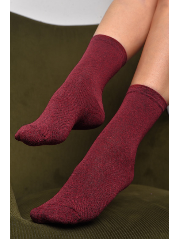 Шкарпетки жіночі демісезонні бордового кольору розмір 36-40 005 172868C