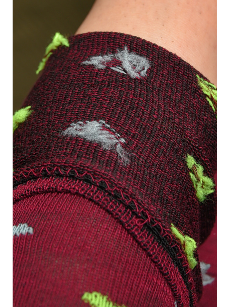Шкарпетки жіночі демісезонні бордового кольору розмір 36-40 112 172886C