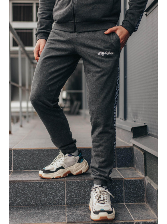 Спортивные штаны мужские серого цвета 703-03 172941C