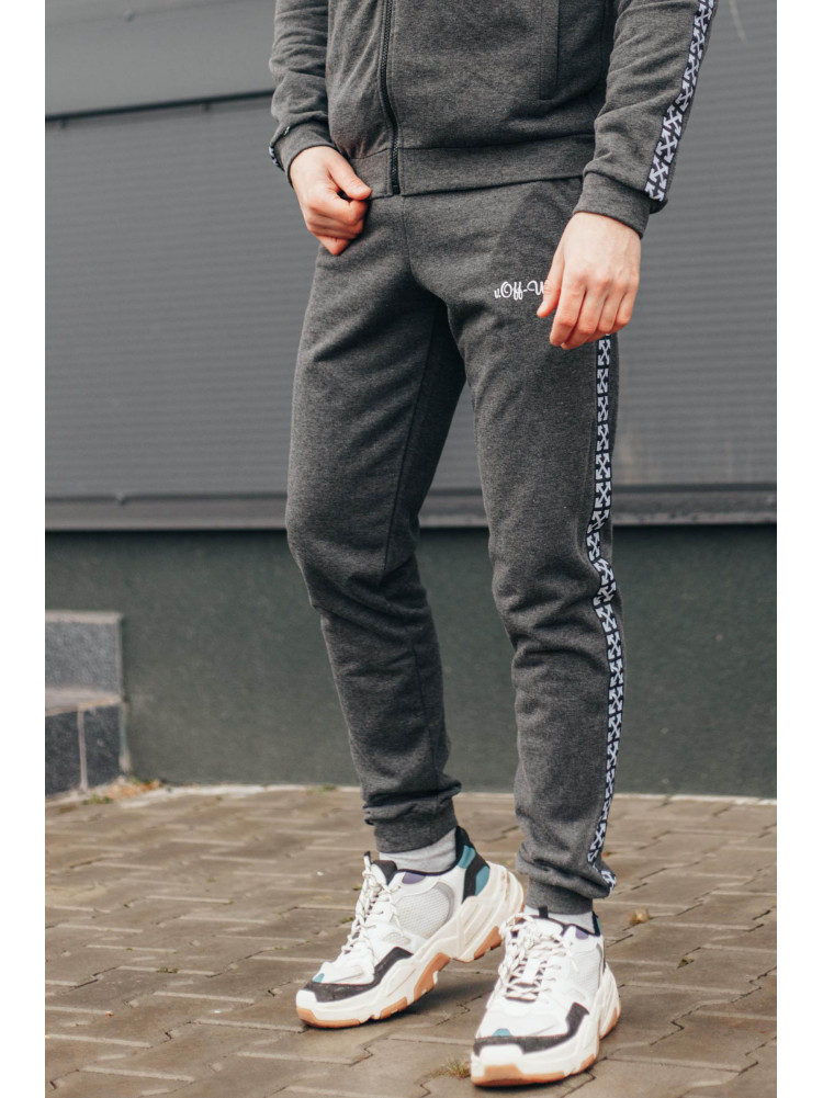 Спортивные штаны мужские серого цвета 703-03 172941C