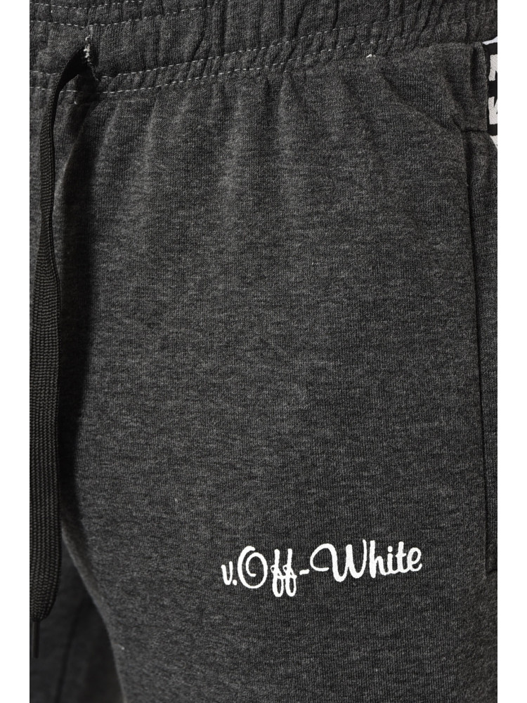 Спортивные штаны мужские темно-серого цвета 703-03 172943C
