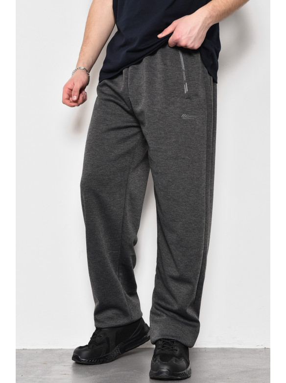 Спортивные штаны мужские полубатальные серого цвета 1403-12 173410C