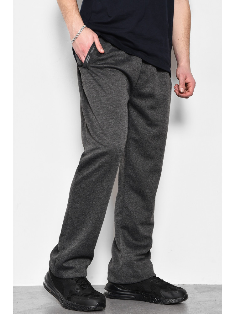 Спортивные штаны мужские полубатальные серого цвета 1403-12 173410C