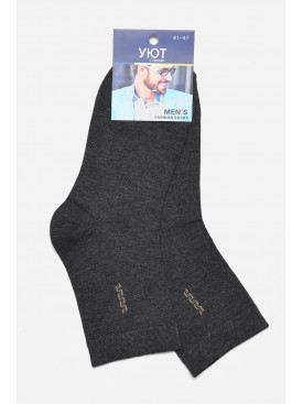Носки мужские демисезонные темно-серого цвета 24-20 175494C