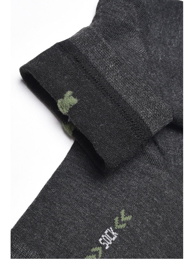 Шкарпетки чоловічі демісезонні темно-сірого кольору 175512C