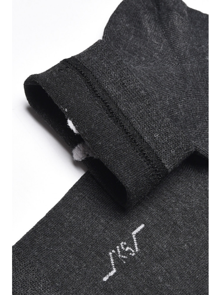Шкарпетки чоловічі демісезонні темно-сірого кольору 23-6 175540C