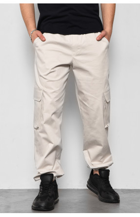 Штани чоловічі сірого кольору 175746C