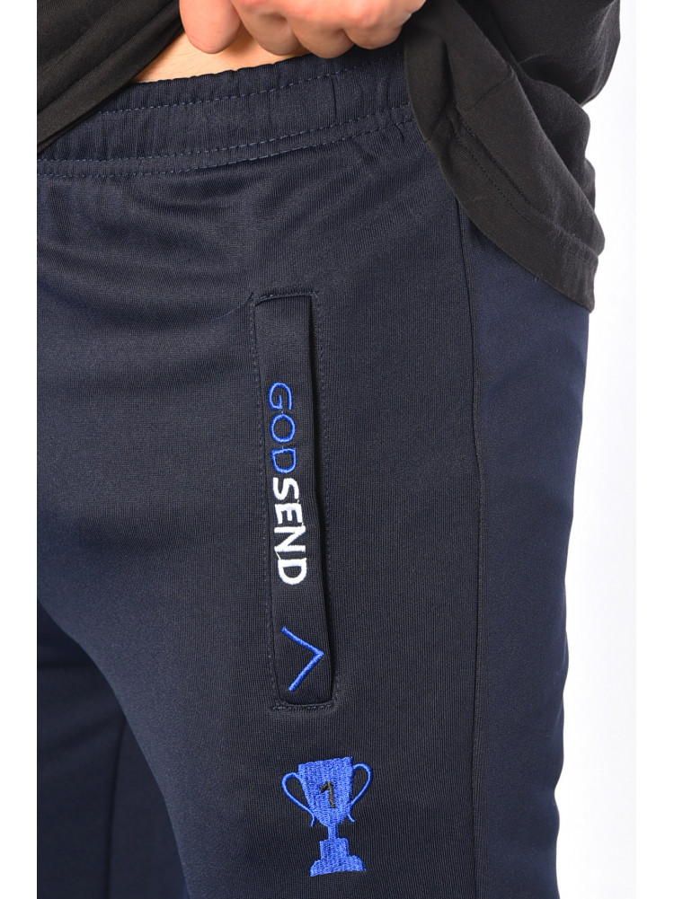 Спортивные штаны мужские темно-синего цвета 6688 183150C