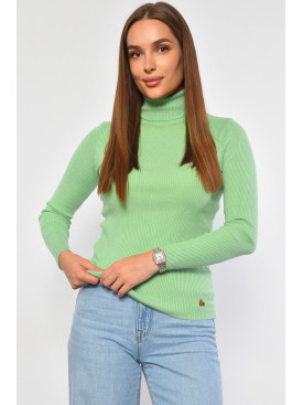 Гольф женский трикотажный зеленого цвета 920 186913C Гольф женский трикотажный зеленого цвета 920 186913C