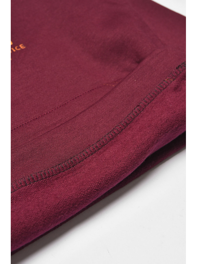 Худи детское темно-бордового цвета с капюшоном 211 189627C