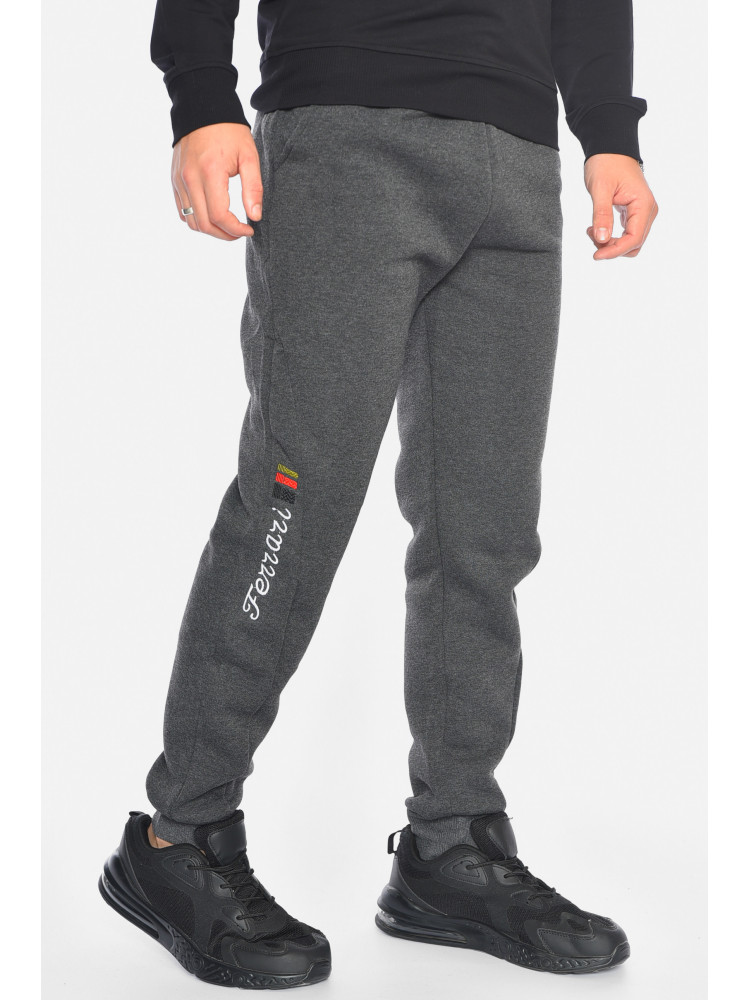 Спортивные штаны мужские на флисе темно-серого цвета CS-2203 192530C