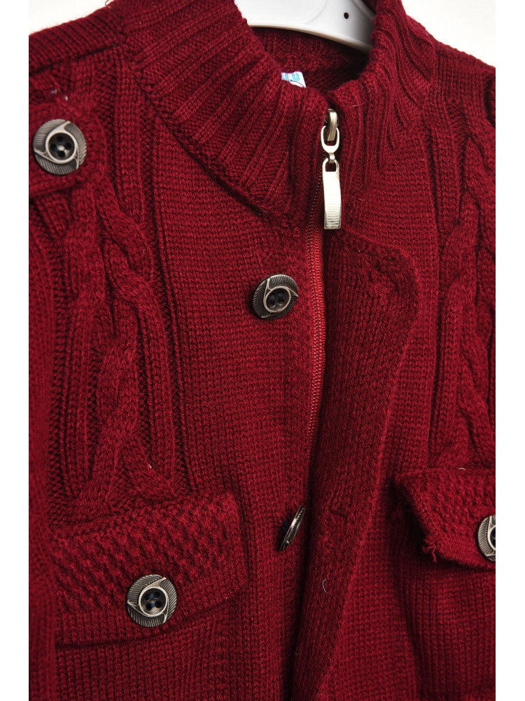 Кофта десткая для мальчика бордового цвета асорти 203010C